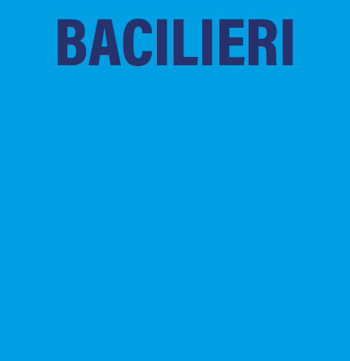 Intervista a Paolo Bacilieri